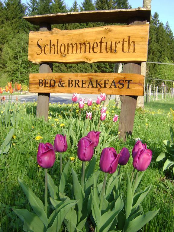 Bed & Breakfast Schlommefurth Bed & Breakfast St. Vith Bagian luar foto